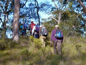 Barraba Spur Watagans